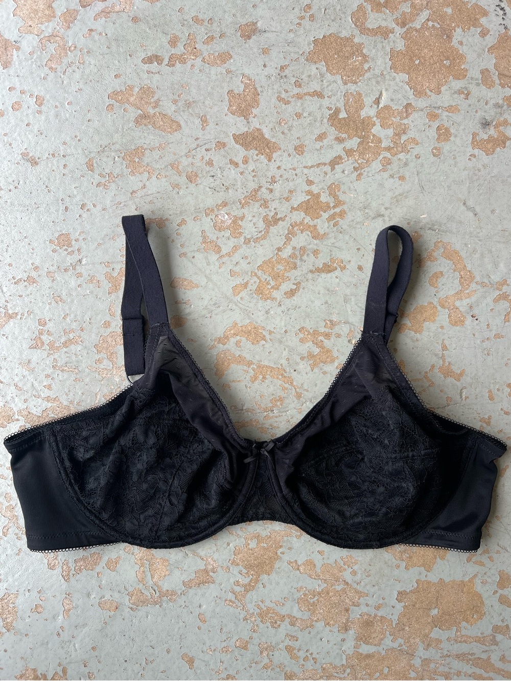 Hsia 42C Black Lace Sheer Bra Underwire Transparent Cups Lingerie